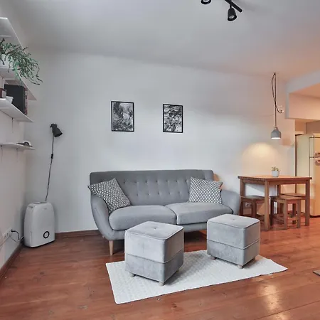 Cozy Near The City Center Apartment